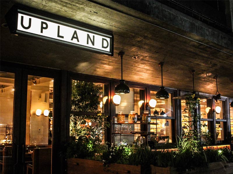 best restaurants in new york, best restaurants in new york city, what are the best restaurants in new york city, where are the best places to eat in new york city,,, buvette, mercado little spain, teranga, upland, olmstead, the four hoursemen , wildaire