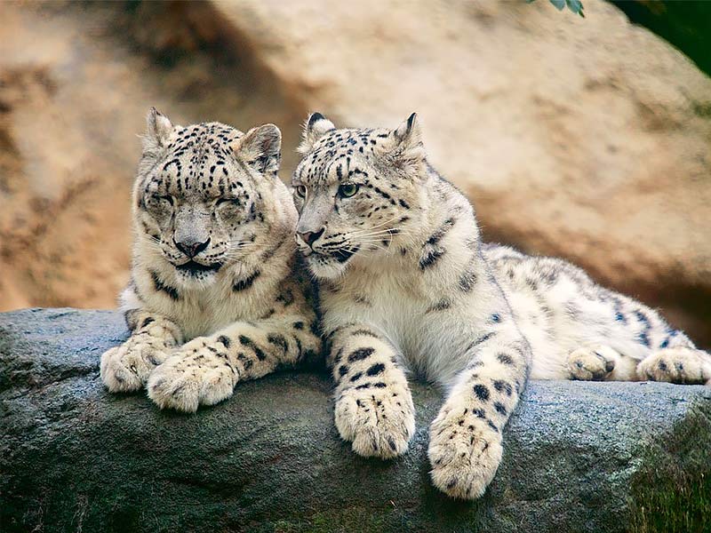 Best national parks in India