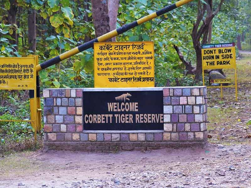 best national park in india nationalpark