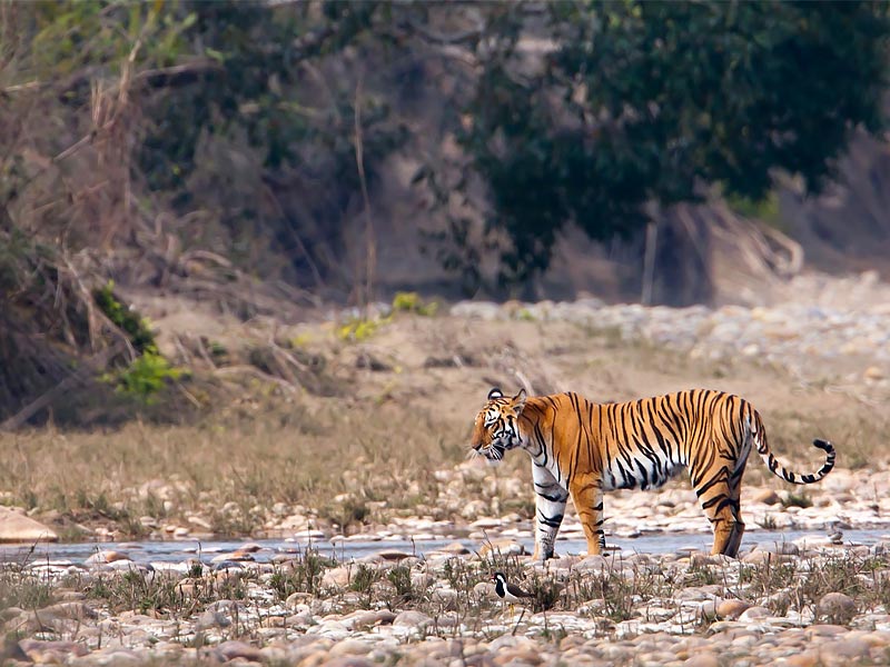 best national park in india nationalpark