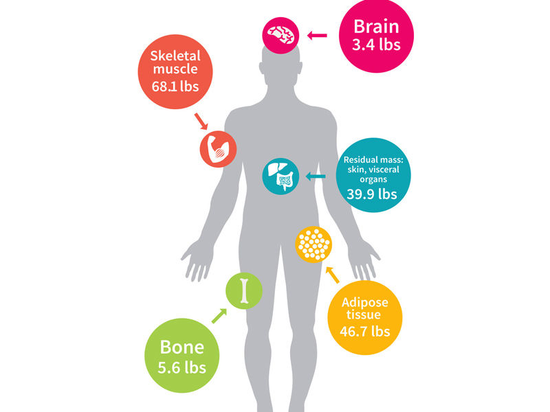 Mindful Eating