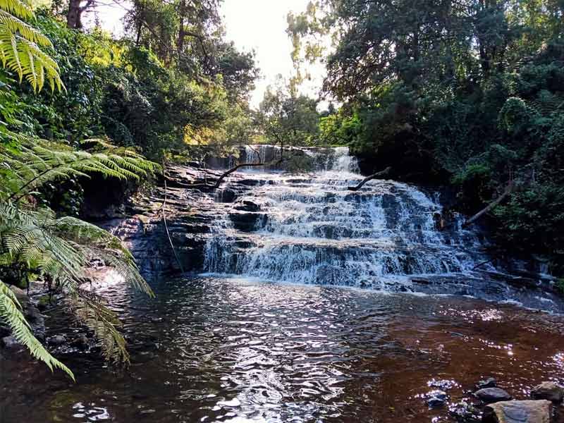 vattakanal, vattakanal falls , dostel vattakanal , homestay in vattakanal , wood cabins vattakanal , vattakanal wood house , dolphin nose vattakanal , altaf cafe vattakanal , divine doors vattakanal , shafa woodhouse vattakanal, vattakanal dolphin nose , wood house vattakanal , shafa wood house vattakanal, canopy hills vattakanal , zostel vattakanal , kodai vattakanal , rc guesthouse vattakanal, glen view villa vattakanal ,,vattakanal kodai ,wild homes vattakanal best homestay in vattakanal ,the vattakanal homestay ,wildhomes vattakanal ,Kodaikanal tamilnadu hillstation ,vattakanal shola tree nursery ,vattakanal echo point