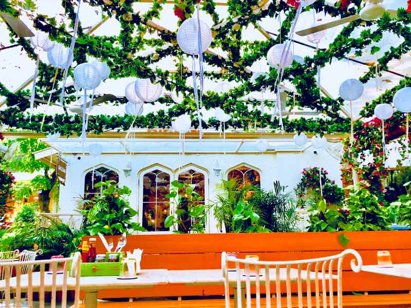 ,garden restaurants delhi ,best garden restaurants in delhi ,restaurants in rajouri garden delhi ,buffet restaurants in rajouri garden delhi ,restaurants in garden of five senses delhi ,garden restaurants in delhi ncr ,restaurants in dilshad garden delhi ,restaurants rajouri garden new delhi ,restaurants in vishnu garden new delhi ,restaurants near tivoli garden resort delhi ,garden restaurants delhi airport ,garden restaurants delhi area ,garden restaurants delhi airport terminal 3