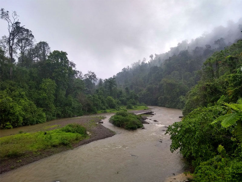 rainforests of india, tropical rainforests of india, names of rainforests in india, which of the following places in india has rainforest, how many rainforests are there in india, does india have a rainforest, rainforests of india and surrounding countries, rainforests of india and their location, rainforests of india and their names, what are the 3 types of rainforests, rainforests in india, rainforests list, is there any rainforest in pakistan, where are rainforests found in india, how many rainforests are there in sri lanka, indian rainforests, jungles of india, how much of india is rainforest, rainforests of india largest, rainforest india map, rainforests of india news, rainforests of india national geographic