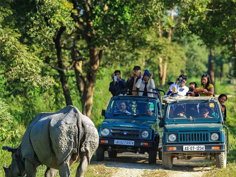 tadoba national park, best time to visit tadoba national park, how to reach tadoba national park, nagpur to tadoba national park, methodology of tadoba national park, tadoba national park resorts, tadoba national park in which state, tadoba national park is famous for which animal, tadoba national park india, tadoba national park area, tadoba national park animals, tadoba national park accommodation, tadoba national park august, tadoba national park nearest airport, tadoba national park tiger attack, animals found in tadoba national park, about tadoba national park, adilabad to tadoba national park, animals in tadoba national park, tadoba national park best time to visit, tadoba national park black panther, tadoba national park black leopard, tadoba national park bamboo forest, birds found in tadoba national park, tadoba national park tiger count, tadoba national park famous for, tadoba national park facts, flora and fauna of tadoba national park, flora of tadoba national park, fauna of tadoba national park