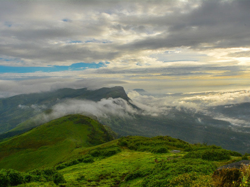 rainforests of india, tropical rainforests of india, names of rainforests in india, which of the following places in india has rainforest, how many rainforests are there in india, does india have a rainforest, rainforests of india and surrounding countries, rainforests of india and their location, rainforests of india and their names, what are the 3 types of rainforests, rainforests in india, rainforests list, is there any rainforest in pakistan, where are rainforests found in india, how many rainforests are there in sri lanka, indian rainforests, jungles of india, how much of india is rainforest, rainforests of india largest, rainforest india map, rainforests of india news, rainforests of india national geographic