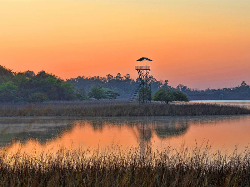 tadoba national park, best time to visit tadoba national park, how to reach tadoba national park, nagpur to tadoba national park, methodology of tadoba national park, tadoba national park resorts, tadoba national park in which state, tadoba national park is famous for which animal, tadoba national park india, tadoba national park area, tadoba national park animals, tadoba national park accommodation, tadoba national park august, tadoba national park nearest airport, tadoba national park tiger attack, animals found in tadoba national park, about tadoba national park, adilabad to tadoba national park, animals in tadoba national park, tadoba national park best time to visit, tadoba national park black panther, tadoba national park black leopard, tadoba national park bamboo forest, birds found in tadoba national park, tadoba national park tiger count, tadoba national park famous for, tadoba national park facts, flora and fauna of tadoba national park, flora of tadoba national park, fauna of tadoba national park