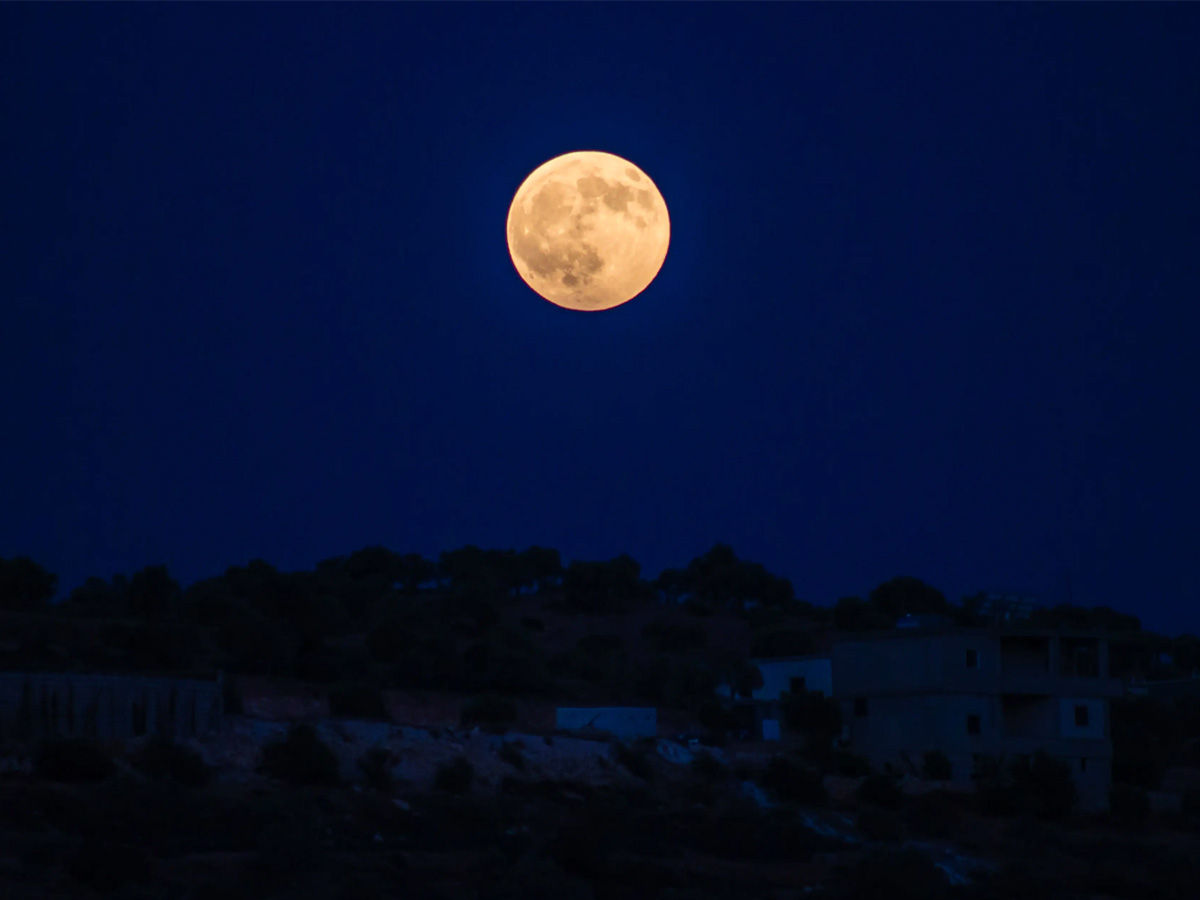 sharad purnima, sharad purnima 2022, happy sharad purnima, sharad purnima significance, sharad purnima amrit varsha time, sharad purnima aaj hai ya kal, sharad purnima and kheer, sharad purnima ayurveda, sharad purnima and pregnancy, sharad purnima amrit varsha, aaj sharad purnima hai kya, amrit varsha on sharad purnima, aarti sharad purnima ki, sharad purnima bankey bihari, sharad purnima bhajan, sharad purnima birth, sharad purnima benefits, sharad purnima banke bihari temple vrindavan, sharad purnima vrat katha, benefits of sharad purnima, benefits of sharad purnima kheer, bhedaghat sharad purnima, sharad purnima ko kya karna chahiye, why sharad purnima is celebrated, sharad purnima chandra mantra, sharad purnima celebration, sharad purnima ka chand, sharad purnima doodh poha recipe, sharad purnima daan, sharad purnima festival information