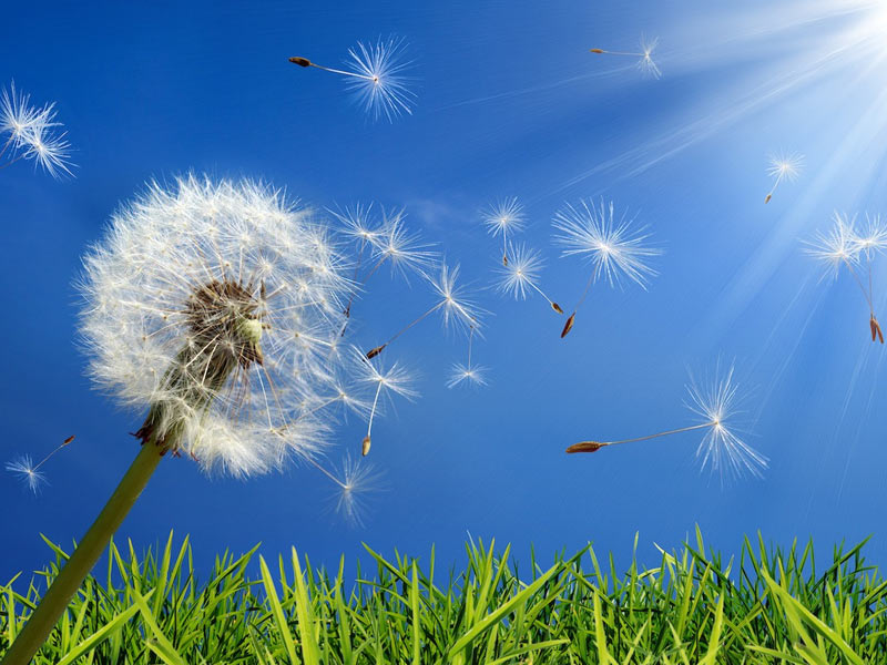 eczema, dyshidrotic eczema, eczema treatment, eczema cream, eczema rash, what causes eczema, nummular eczema, how to cure eczema permanently, eczema on face, baby eczema, discoid eczema, eczema around eyes, eczema around mouth, eczema awareness month, eczema autoimmune, eczema and psoriasis, eczema all over body, eczema and asthma, atopic eczema, allergic eczema, autoimmune disease eczema, a cream for eczema, eczema bumps, eczema body wash, eczema between fingers, best eczema treatment, eczema cream prescription, eczema cure, cerave eczema, chronic eczema