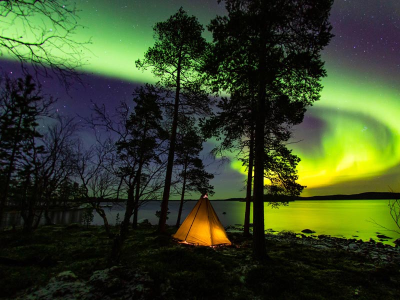 ,northern ligghts ,northern lights ,northern lights forecast ,northern lights strain ,northern lights alaska ,northern lights pizza ,northern lights iceland ,northern lights norway ,northern lights canada ,northern lights michigan ,northern lights apartments