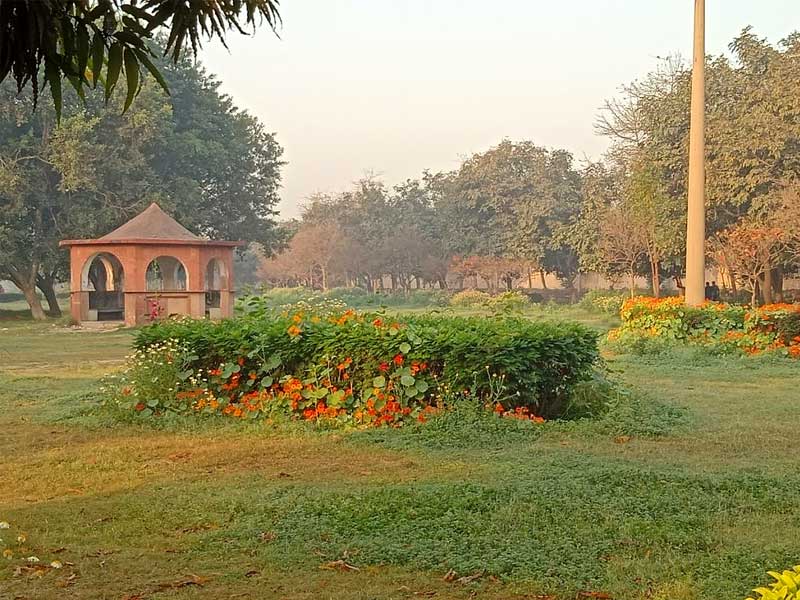 doggo friendly parks, sundar nursery cover, japanese park delhi, siri fort park, deer park.hauz khas, lodhi garden, nehru park, sunder nursury, sanjay van, delhi pet dog park