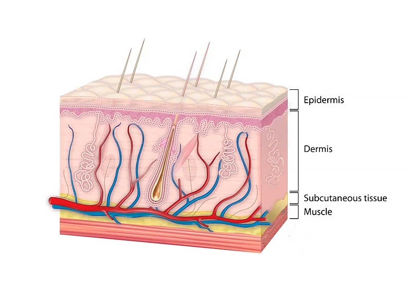 ahas and bhas, list of ahas and bhas, difference between ahas and bhas, are ahas and bhas safe during pregnancy, what do ahas and bhas do, ahas and bhas examples, can you mix ahas and bhas, do ahas and bhas cause purging, exfoliate with ahas and bhas, gently exfoliate with ahas and bhas, daily exfoliation and cleansing with ahas and bhas, what are ahas and bhas, can ahas and bhas be used together, using bhas and ahas together, what are examples of ahas and bhas, are ahas and bhas good for acne, ahas and bhas for acne, what are ahas and bhas good for, niacinamide and ahas and bhas, what is the difference between ahas and bhas, benefits of ahas and bhas, best ahas and bhas, ahas and bhas while breastfeeding, can you use ahas and bhas together, can you use ahas and bhas with retinol, can you use ahas and bhas with vitamin c, combining ahas and bhas