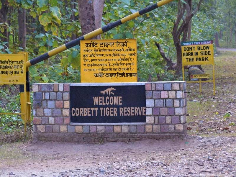 ,,jim corbett ,,gentleman jim corbett ,delhi to jim corbett ,best time to visit jim corbett ,taj jim corbett ,tarangi resort jim corbett ,things to do in jim corbett ,places to visit in jim corbett ,lemon tree jim corbett ,club mahindra jim corbett ,jim corbett audiobook ,jim corbett avita ,jim corbett animals ,jim corbett accommodation