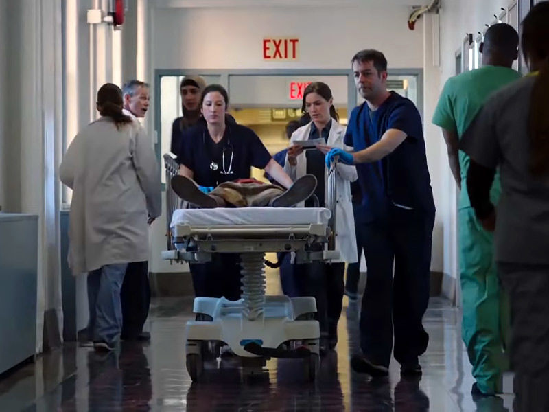 new amsterdam, new amsterdam cast, new amsterdam season 5 netflix, new amsterdam season 1, schavaria reeves new amsterdam, new amsterdam actors, new amsterdam based on true story, new amsterdam characters, new amsterdam cast season 1