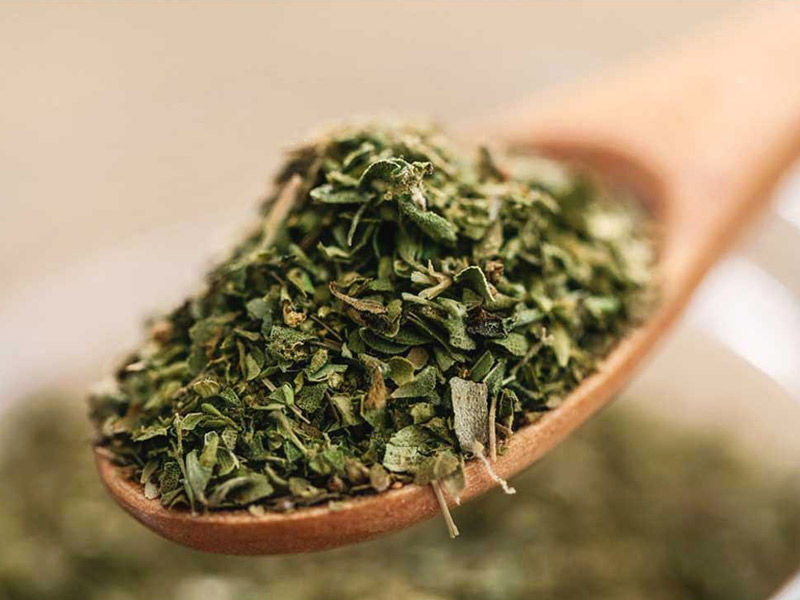 Mountain herbs. Оригано или орегано что это. Орегано шишечки. Орегано семена. Колумбийский орегано.