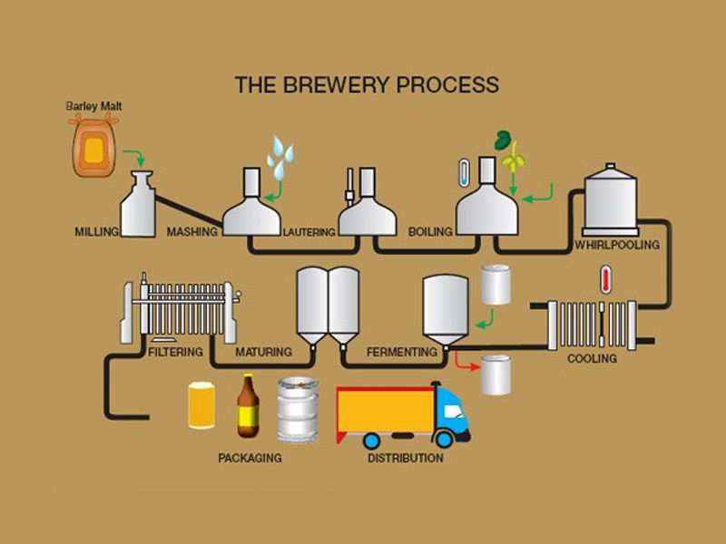 beer, madison beer, beer near me, the greatest beer run ever, ginger beer, gluten free beer, world of beer, beer bread recipe, beer store near me, root beer, yuengling beer, beer brands, beer belly, beer bottle, bro code beer, bira beer, beer calories, corona beer, craft beer, carlsberg beer
