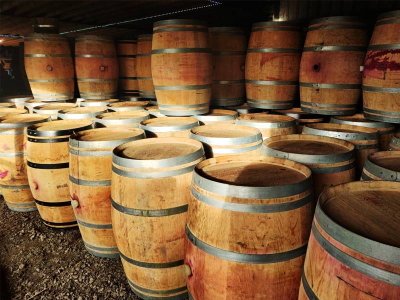 wine, wine tasting near me, winery, wine cooler, mulled wine recipe, wine and spirits, wine alcohol content, wine and liquor, a wine connoisseur, a sweet red wine, a wine sommelier, about red wine, a wine cooler, a winery, a dry white wine, wine bottle, wine before liquor, wine brands, wine bottle opener, benefits of red wine, wine cellar, wine cooler drink, wine cabinet, calories in red wine, wine dispenser, dry white wine, dry white wine for cooking, does wine go bad, dessert wine, english sparkling wine