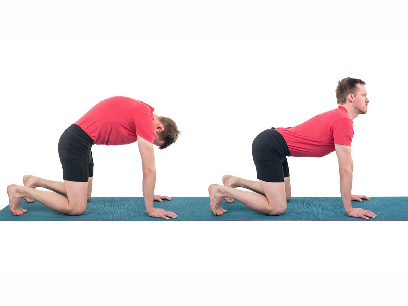 yoga poses for pcos, 14 yoga poses for pcos, 11 yoga poses for pcos and hormonal imbalance, best yoga poses for pcos, some yoga poses for pcos, yoga poses for pcos with pictures, yoga poses for pcos and infertility, yoga poses for pcos treatment, yoga poses for pcos and weight loss, yoga poses for thyroid and pcos, yoga poses for curing pcos, yoga poses for pcos and pcod, yoga asanas for pcos and hormonal imbalance, yoga asanas for pcos and infertility, pcos cure yoga poses, is yoga good for pcos, is yoga good for pcos weight loss, pcos yoga poses, yoga poses for polycystic ovaries, yoga and pcos