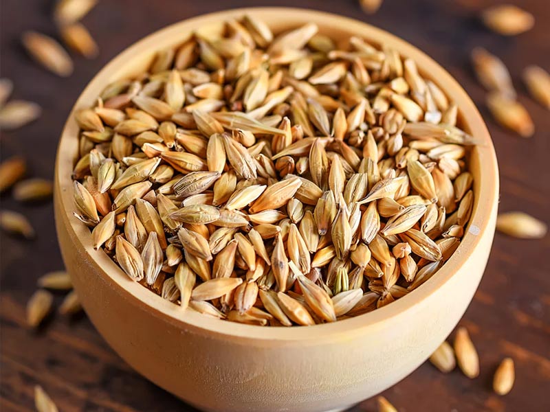 millets summer, millets for summer, millets to be eaten in summer, which millets can be eaten in summers, millets for summer in hindi, millets used in summer season, which millets are good in summer, which millets to eat in summer, can we eat millets in summer, which millet is good to eat in summer, can millets be eaten in summer, best millets for sum,mer, millet summer crop, millets are grown in which season, millets to eat in summer ,does millets produce heat ,millets in summer