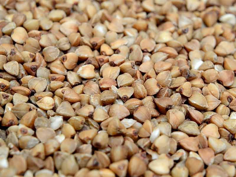millets summer,millets for summer, millets to be eaten in summer, which millets can be eaten in summers, millets for summer in hindi, millets used in summer season, which millets are good in summer, which millets to eat in summer, can we eat millets in summer, which millet is good to eat in summer, can millets be eaten in summer, best millets for sum,mer, millet summer crop, millets are grown in which season, millets to eat in summer ,does millets produce heat ,millets in summer