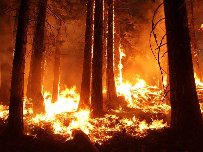 ,climate change,climate change definition ,causes of climate change ,effects of climate change ,,climate change news ,is climate change real climate change articles ,how to stop climate change ,climate change facts ,natural causes of climate change ,nasa climate change ,climate change and global warming
