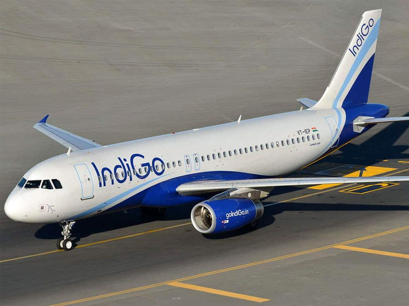 ,indigo tail strikes,indigo tail strike
,indigo tail strike news
,indigo tail strike twitter
,indigo tail strike today
,indigo tail strike delhi
,indigo tail strike ahmedabad
,indigo tail strike nagpur,
what is tail strike in aircraft,
what is tail strike in aviation
,do indigo buntings change color
,indigo triangle strain