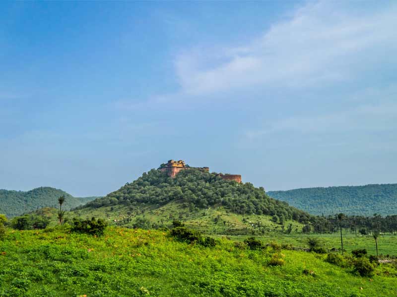 ,,sariska alwar,sterling sariska alwar ,hotels in sariska alwar ,resorts in sariska alwar ,sterling sariska alwar contact number ,moksh sariska alwar pandupol hanuman temple at sariska alwar ,dfo sariska alwar ,gurgaon to sariska alwar ,utsav camp sariska alwar ,ratan villas sariska alwar ,alwar bagh sariska by aamod resorts ,places to visit in alwar and sariska ,alwar bagh sariska by aamod reviews