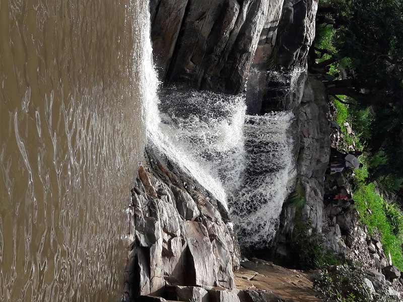 ,,sariska alwar,sterling sariska alwar ,hotels in sariska alwar ,resorts in sariska alwar ,sterling sariska alwar contact number ,moksh sariska alwar pandupol hanuman temple at sariska alwar ,dfo sariska alwar ,gurgaon to sariska alwar ,utsav camp sariska alwar ,ratan villas sariska alwar ,alwar bagh sariska by aamod resorts ,places to visit in alwar and sariska ,alwar bagh sariska by aamod reviews