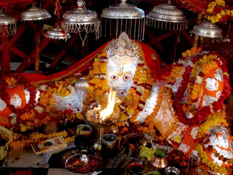 ,,sariska alwar,sterling sariska alwar ,hotels in sariska alwar ,resorts in sariska alwar ,sterling sariska alwar contact number ,moksh sariska alwar pandupol hanuman temple at sariska alwar ,dfo sariska alwar ,gurgaon to sariska alwar ,utsav camp sariska alwar ,ratan villas sariska alwar ,alwar bagh sariska by aamod resorts ,places to visit in alwar and sariska ,alwar bagh sariska by aamod reviews
