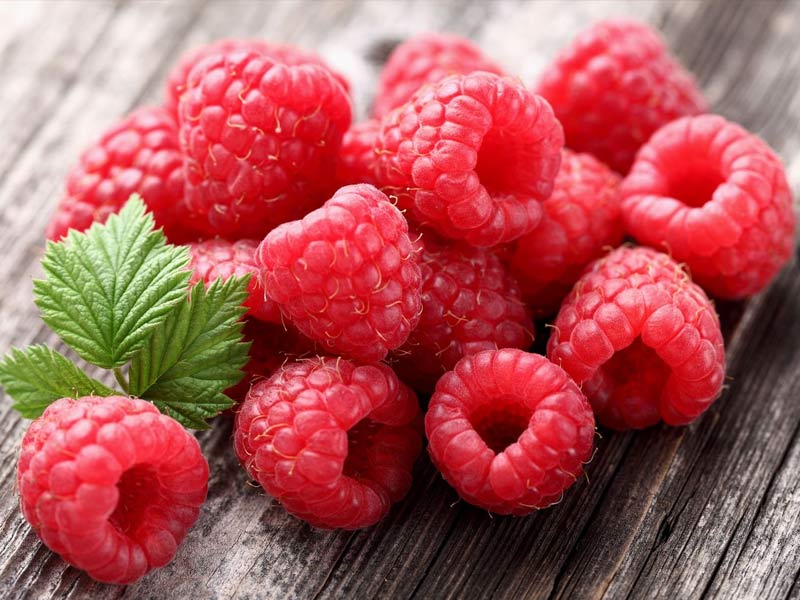 ,berries
,juniper berries
,goji berries
,g,olden berries
,berries and cream guy
,are bananas berries
,kiwi berries
,blueberries
,types of berries
,berries and bees converse
,berries and cream commercial
,berries and cream recipe
,berries and cream starburst
,berries and cream dr pepper
,,allspice berries
are strawberries berries
,acai berries
,aronia berries
,are grapes berries
,are berries fruit
,blackberries
,are kiwi berries