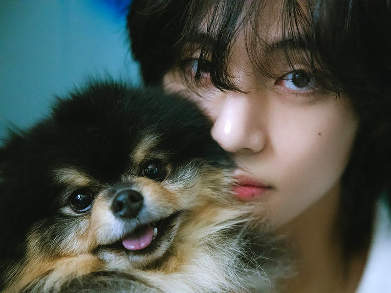 kim taehyung, bts kim taehyung, bts v kim taehyung, kim taehyung height, kim taehyung songs, kim taehyung age, where is kim taehyung now, kim taehyung instagram, kim taehyung age 2023, kim taehyung album, about kim taehyung, age of kim taehyung, all about kim taehyung, about kim taehyung family, kim taehyung birthday, bts v aka kim taehyung