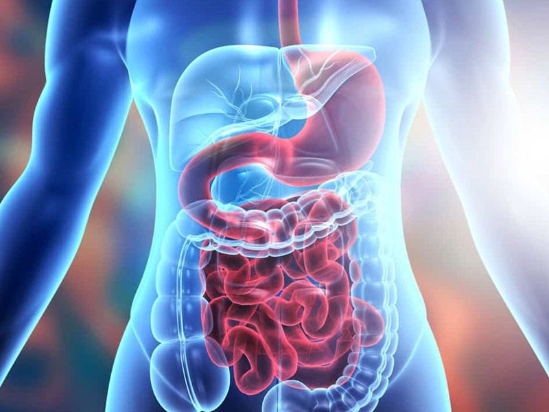 ,jaggery tea ,how to make jaggery tea ,is jaggery tea good for weight loss ,foodia jaggery tea ,jaggery tea recipe ,is jaggery tea good for health ,is jaggery tea good for diabetic patients ,ginger jaggery tea ,how to make jaggery tea for weight loss ,ginger and jaggery tea for periods ,ginger and jaggery tea benefits