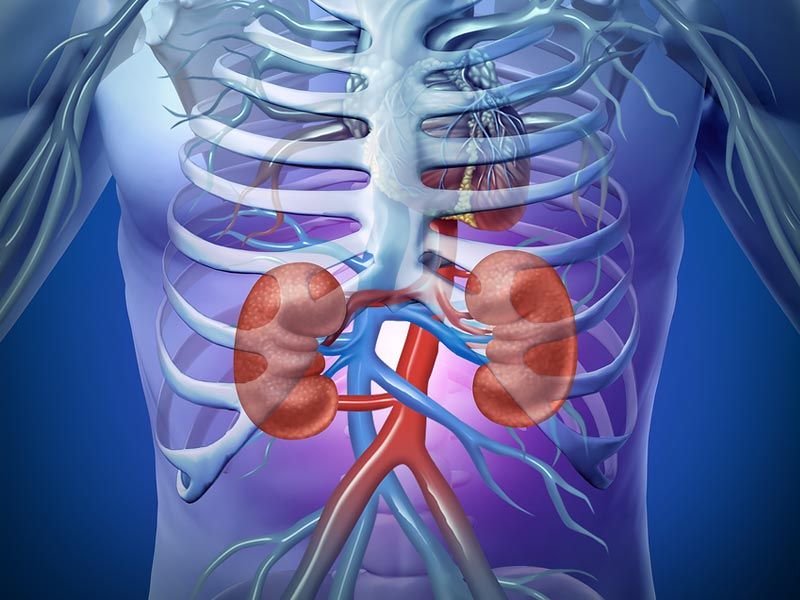 ,herbes for kidneys,herbs for kidneys and liver
,herbs for kidneys and adrenals
,herbs for kidneys cleanse
,herbs for kidneys tea
,best herbs for kidneys and liver
,jamaican herbs for kidneys
v,,
itamins and herbs for kidneys
,worst herbs for kidneys
,herbs good for kidneys and liver
,are herbs good for kidneys
,best herbs for kidneys and bladder