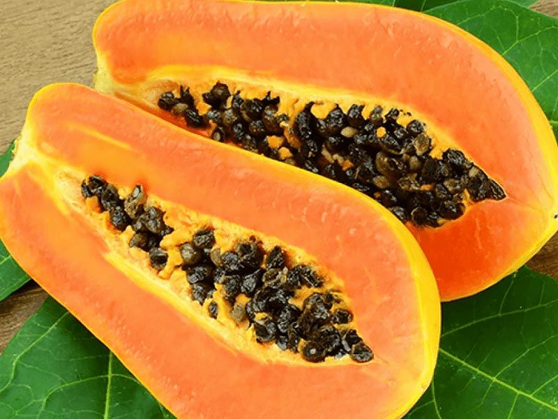,papaya ,green papaya ,papaya enzyme ,papaya seeds ,papaya reusables ,how to cut a papaya ,papaya benefits ,green papaya salad ,papaya and pregnancy ,papaya art ,papaya allergy ,papaya app ,papaya and pineapple