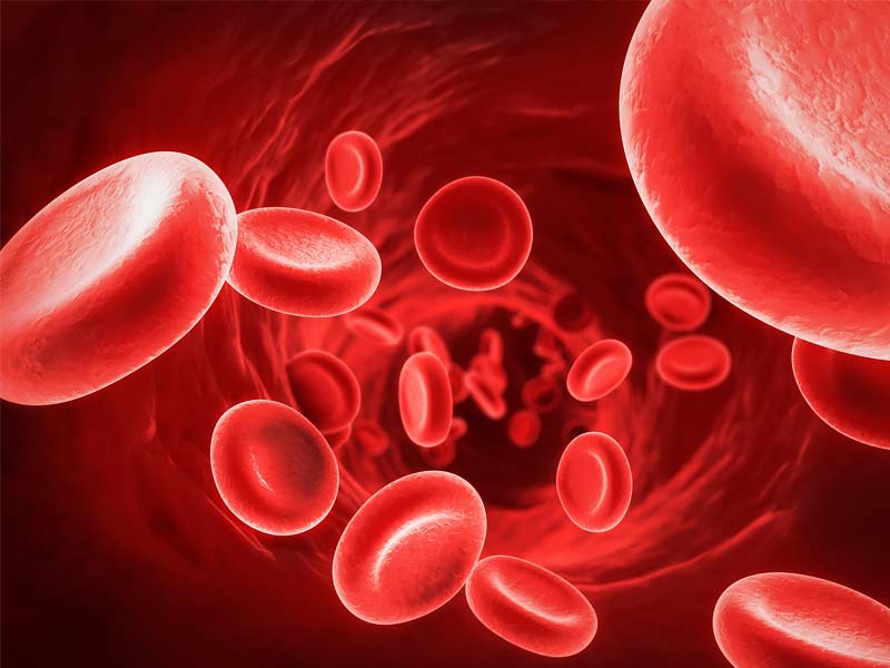 ,fennal seeds ,fennel seeds ,fennel seeds benefits ,fennel seeds in spanish ,fennel seeds benefits for male ,fennel seeds substitute ,fennel seeds in hindi ,fennel seeds uses ,fennel seeds health benefits ,fennel seeds in telugu ,fennel seeds benefits for female ,benefits of fennel seeds ,fennel seeds near me