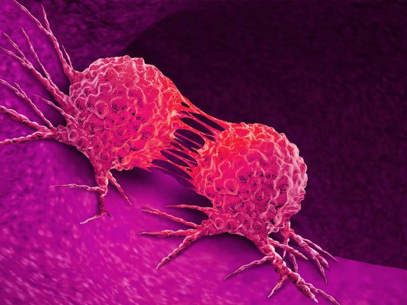 ,durian fruit,durian fruit smell
,durian fruit taste
,durian fruit near me
,durian fruit benefits
,what does durian fruit smell like
,10 health benefits of durian fruit
,durian fruit in spanish
,durian fruit flavor
,durian fruit how to eat
,durian fruit for sale
,durian fruit amazon
,durian fruit allergy