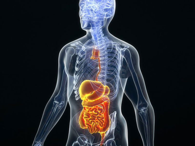 ,fennal seeds,fennel seeds
,fennel seeds benefits
,fennel seeds in spanish
,fennel seeds benefits for male
,fennel seeds substitute
,fennel seeds in hindi
,fennel seeds uses
,fennel seeds health benefits
,fennel seeds in telugu
,fennel seeds benefits for female
,benefits of fennel seeds
,fennel seeds near me