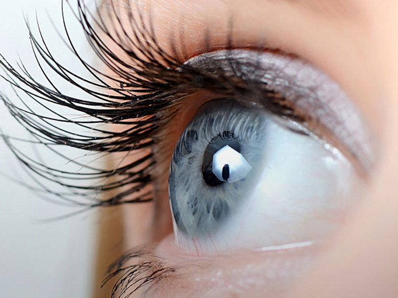 ,moringa leaves benefits ,boiled moringa leaves benefits ,dry moringa leaves benefits ,moringa leaves benefits and side effects ,moringa leaves benefits for skin ,moringa leaves benefits for hair ,curry leaves and moringa leaves benefits ,moringa leaves benefits for male ,moringa leaves benefits for diabetes ,moringa leaves benefits for breastfeeding ,moringa leaves benefits in hindi ,moringa leaves benefits and skin