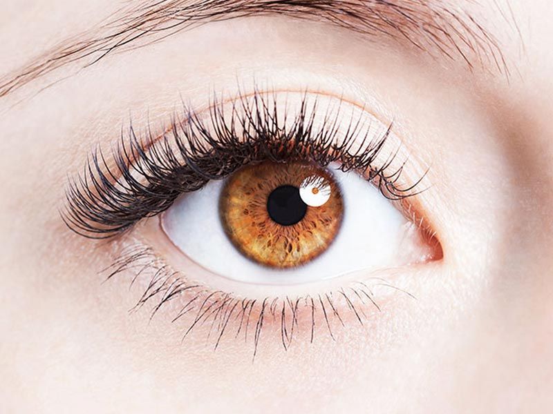 ,fennal seeds ,fennel seeds ,fennel seeds benefits ,fennel seeds in spanish ,fennel seeds benefits for male ,fennel seeds substitute ,fennel seeds in hindi ,fennel seeds uses ,fennel seeds health benefits ,fennel seeds in telugu ,fennel seeds benefits for female ,benefits of fennel seeds ,fennel seeds near me