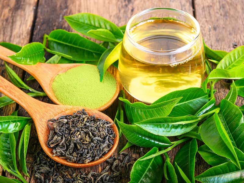 ,eyesight herbs,chinese herbs for eyesight improvement
,top herbs for eyesight
,natural herbs for eyesight
,indian herbs for eyesight improvement
,what herbs are good for your eyesight
,best herbs to improve eyesight
,herbs to improve eyesight naturally
,herbs that can improve eyesight
,herbs to improve your eyesight
,improve eyesight herbs