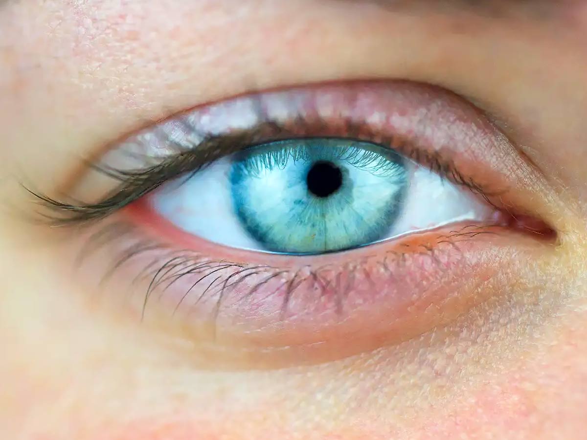 5 incredible herbs that promote Eyesight