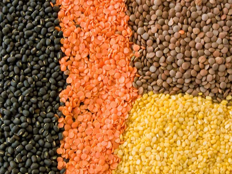 ,source of iron,good source of iron
,best source of iron
,are eggs a good source of iron
,is spinach a good source of iron
,natural source of iron
,rich source of iron
,source of iron food
,is chicken a good source of iron
,are raisins a good source of iron
,is salmon a good source of iron
,source of iron and ivory for genoa
,source of iron and ivory for genoa location