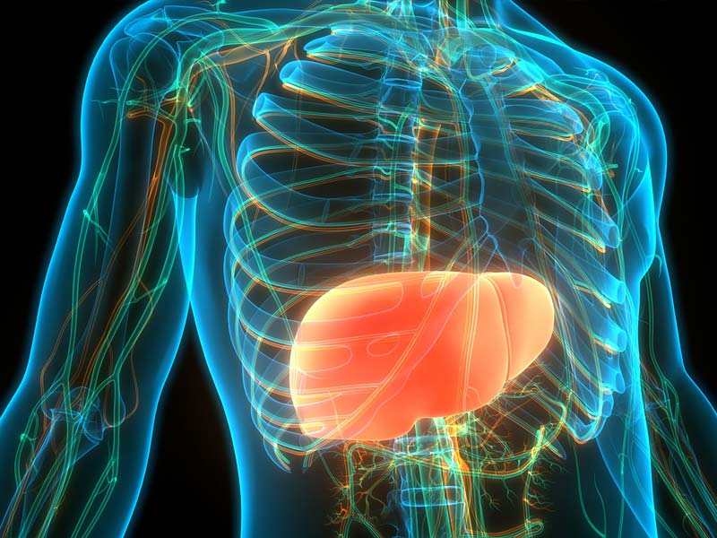 ,moringa leaves benefits,boiled moringa leaves benefits
,dry moringa leaves benefits
,moringa leaves benefits and side effects
,moringa leaves benefits for skin
,moringa leaves benefits for hair
,curry leaves and moringa leaves benefits
,moringa leaves benefits for male
,moringa leaves benefits for diabetes
,moringa leaves benefits for breastfeeding
,moringa leaves benefits in hindi
,moringa leaves benefits and skin