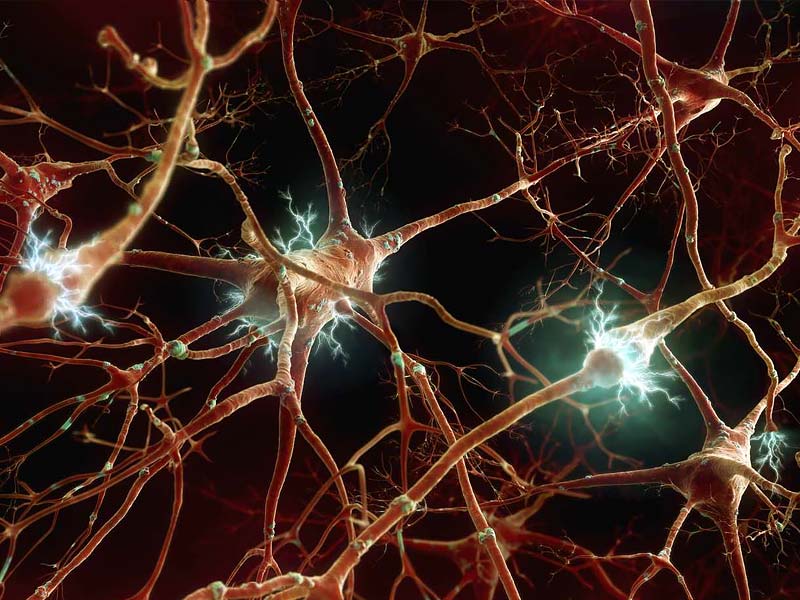 ,moringa leaves benefits,boiled moringa leaves benefits
,dry moringa leaves benefits
,moringa leaves benefits and side effects
,moringa leaves benefits for skin
,moringa leaves benefits for hair
,curry leaves and moringa leaves benefits
,moringa leaves benefits for male
,moringa leaves benefits for diabetes
,moringa leaves benefits for breastfeeding
,moringa leaves benefits in hindi
,moringa leaves benefits and skin