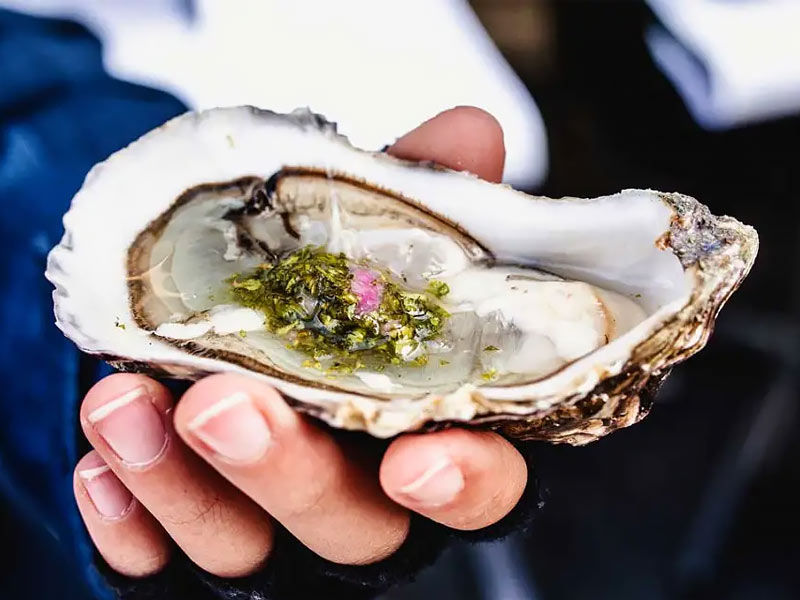 ,source of iron,good source of iron
,best source of iron
,are eggs a good source of iron
,is spinach a good source of iron
,natural source of iron
,rich source of iron
,source of iron food
,is chicken a good source of iron
,are raisins a good source of iron
,is salmon a good source of iron
,source of iron and ivory for genoa
,source of iron and ivory for genoa location