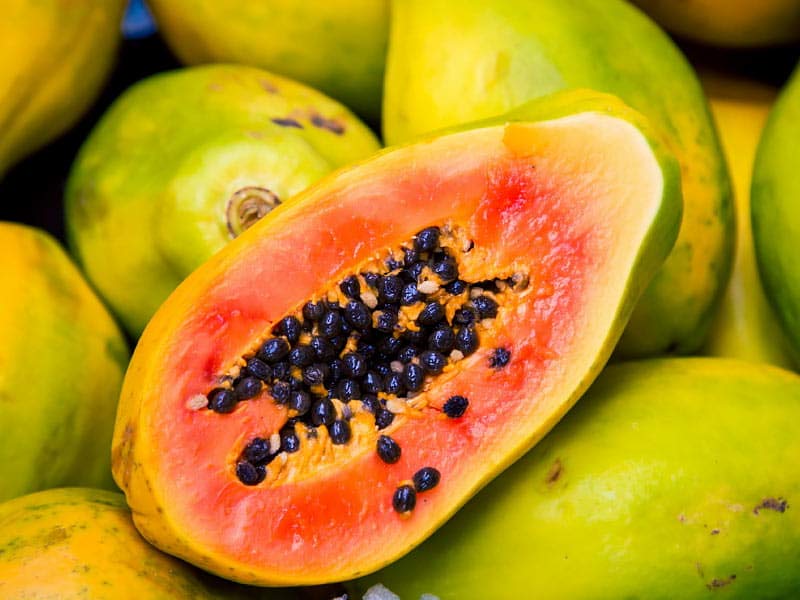 ,papaya,green papaya
,papaya enzyme
,papaya seeds
,papaya reusables
,how to cut a papaya
,papaya benefits
,green papaya salad
,papaya and pregnancy
,papaya art
,papaya allergy
,papaya app
,papaya and pineapple