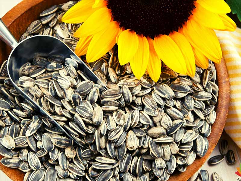 ,food for eyes,good food for eyes ,food for eyesight ,food for eyesight improvement ,good food for eyes vision ,vitamin a rich food for eyes ,superfoods for eyes ,best food for eyes in hindi ,healthy food for eyes in tamil ,best veg food for eyes ,best food for eyes ,best food for eye vision