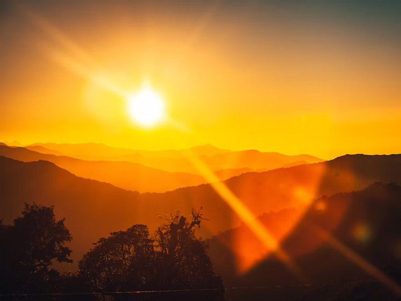 ,rickets,rickets symptoms
,rickets disease
,rickets definition
,rickets treatment
,rickets causes
,rickets in children
,taylor swift tickets
,hypophosphatemic rickets
,rickets in adults
,rickets meaning
,rickets and osteomalacia
,rickets anatomy definition