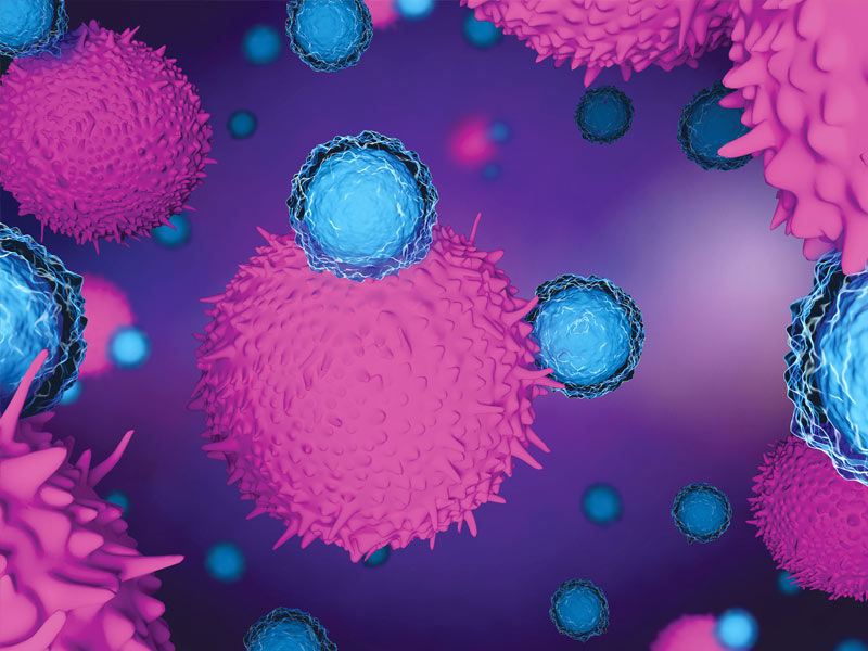 ,clove health benefits,,garlic clove health benefits
,clove health benefits and side effects
,whole clove health benefits
,clove health benefits ayurveda
,garlic clove health benefits and side effects
,raw garlic clove health benefits
,cinnamon and clove health benefits
,health benefits of red clover
,clove health benefits in tamil