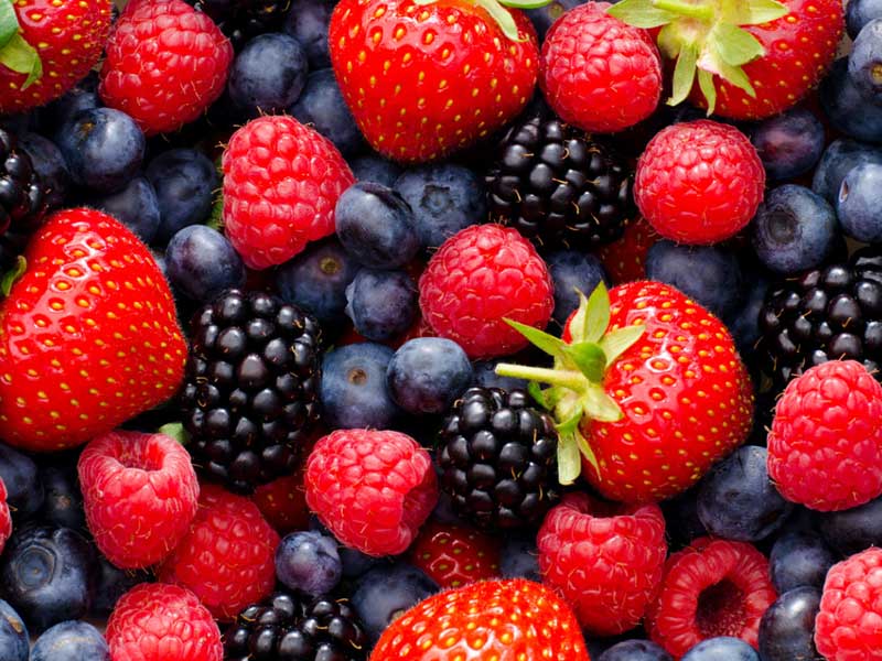 ,collagen rich foods,collagen rich foods list
,collagen rich foods vegetarian
,collagen rich foods vegan
,collagen rich foods for dogs
,collagen rich foods benefits
,collagen rich foods indian
,collagen rich foods for skin and hair
,,collagen rich foods for skin
,collagen rich foods for skin vegetarian
,collagen rich foods in tamil
,collagen rich foods and fruits
,how can i increase my collagen naturally